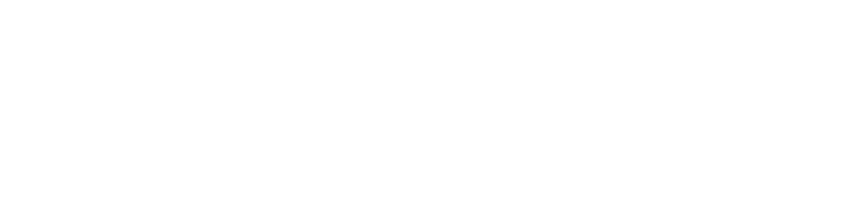 Dayforce Logo
